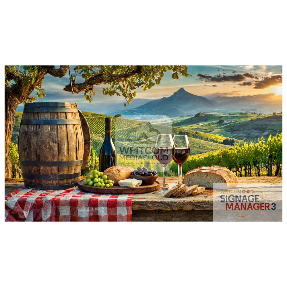 Romantic vineyard with table with red wine, cheese and bread