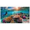 A coral reef with colorful corals and fish