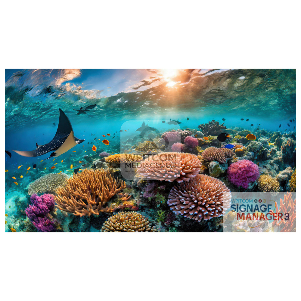 A coral reef with colorful corals and fish
