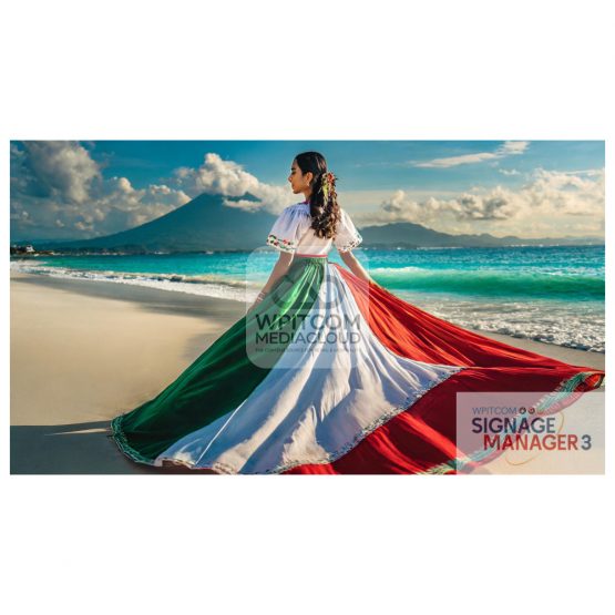 An italian lady on the beach with italian flag