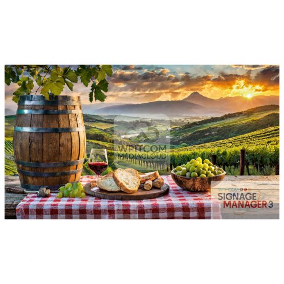 Romantic vineyard with table with red wine and bread