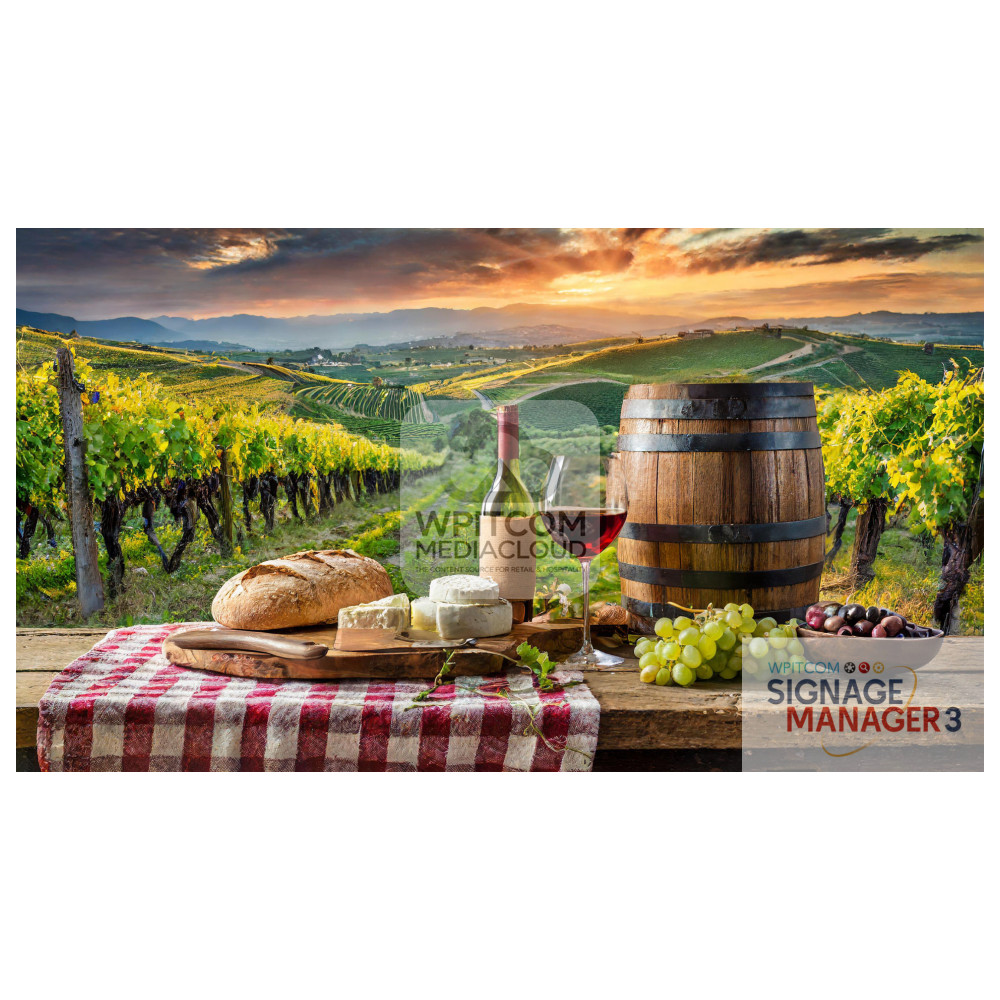 Romantic vineyard with table with red wine and bread