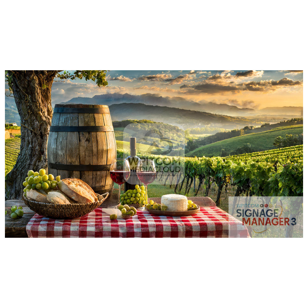 Romantic vineyard with table with red wine and bread