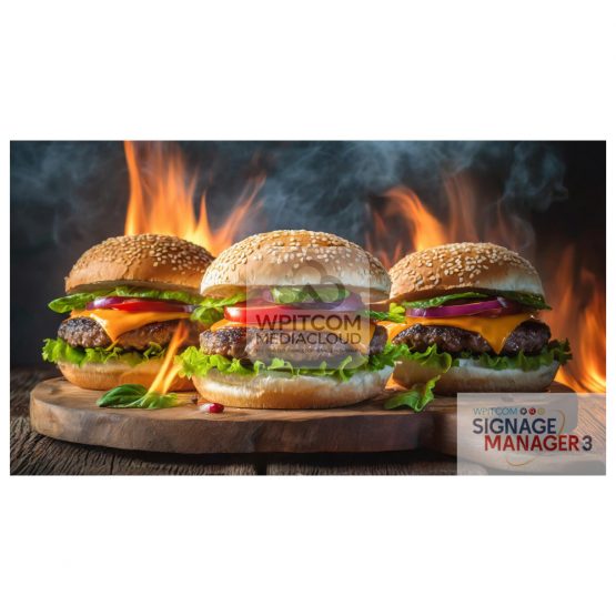Three Hamburgers in flames 4