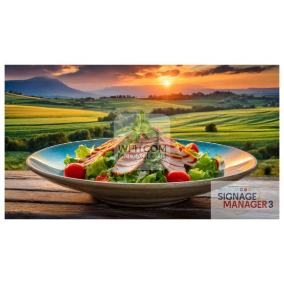 A colorful salad plate with chicken strips with the background of a vegetable field in summer