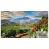 A coffee farm in the moutains