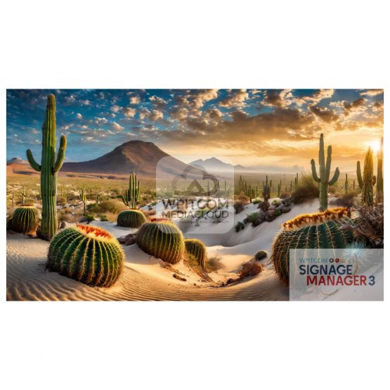 Mexican Desert