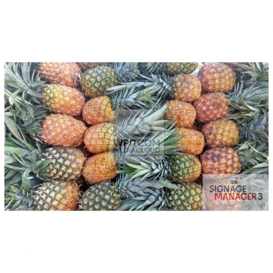 Background of pineapples
