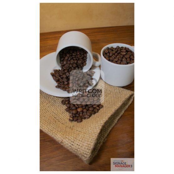 A cup of of coffee beans