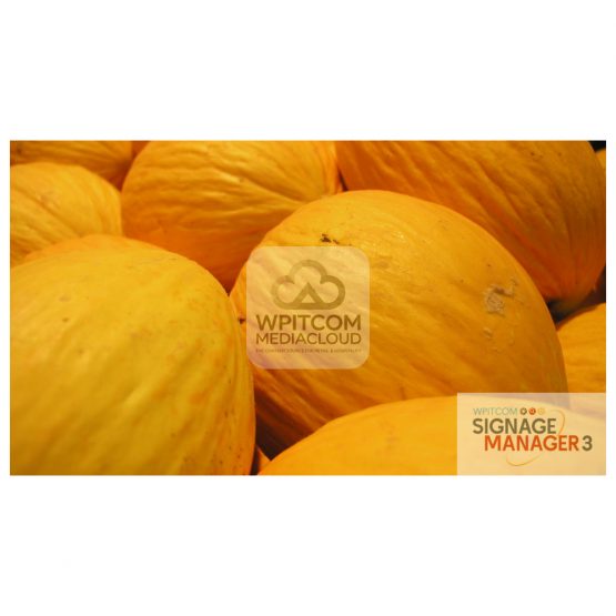 Background of yellow melons