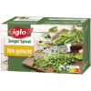 4250241208475-Iglo Junger Spinat 750 g